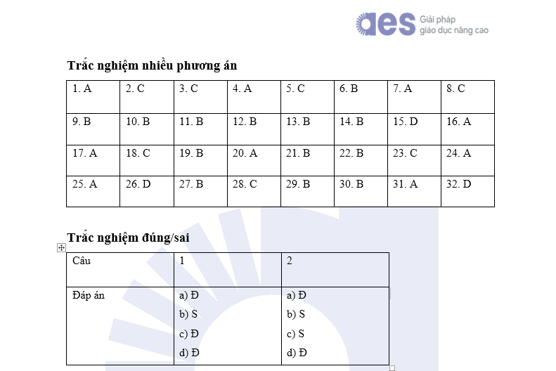 t9-1726656873674624956569