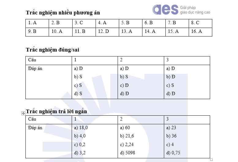 thi6-17258020904212035973554