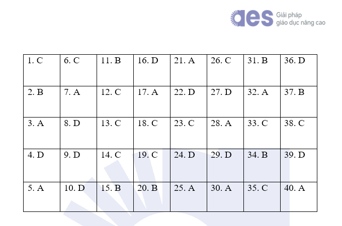 tienganh-17255037392631096196369